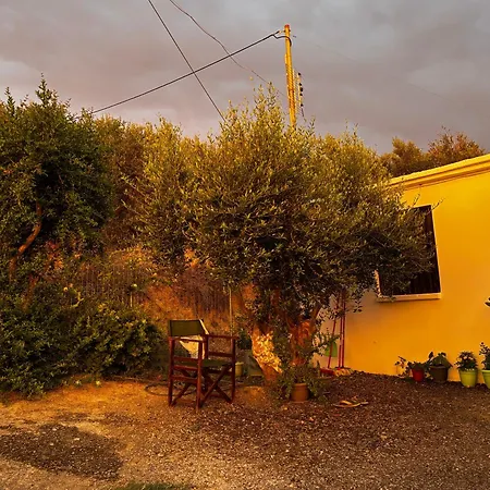 Stella's Olive Tree House * Adelianos Kampos