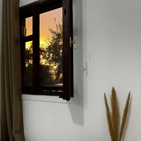 Stella's Olive Tree House Apartamento