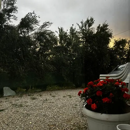 Stella's Olive Tree House