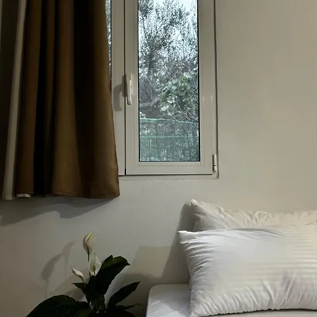 Apartamento Stella's Olive Tree House *