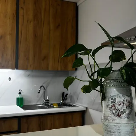 Stella's Olive Tree House Apartamento *